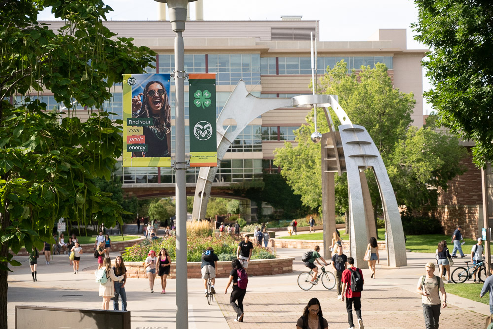 Colorado State University